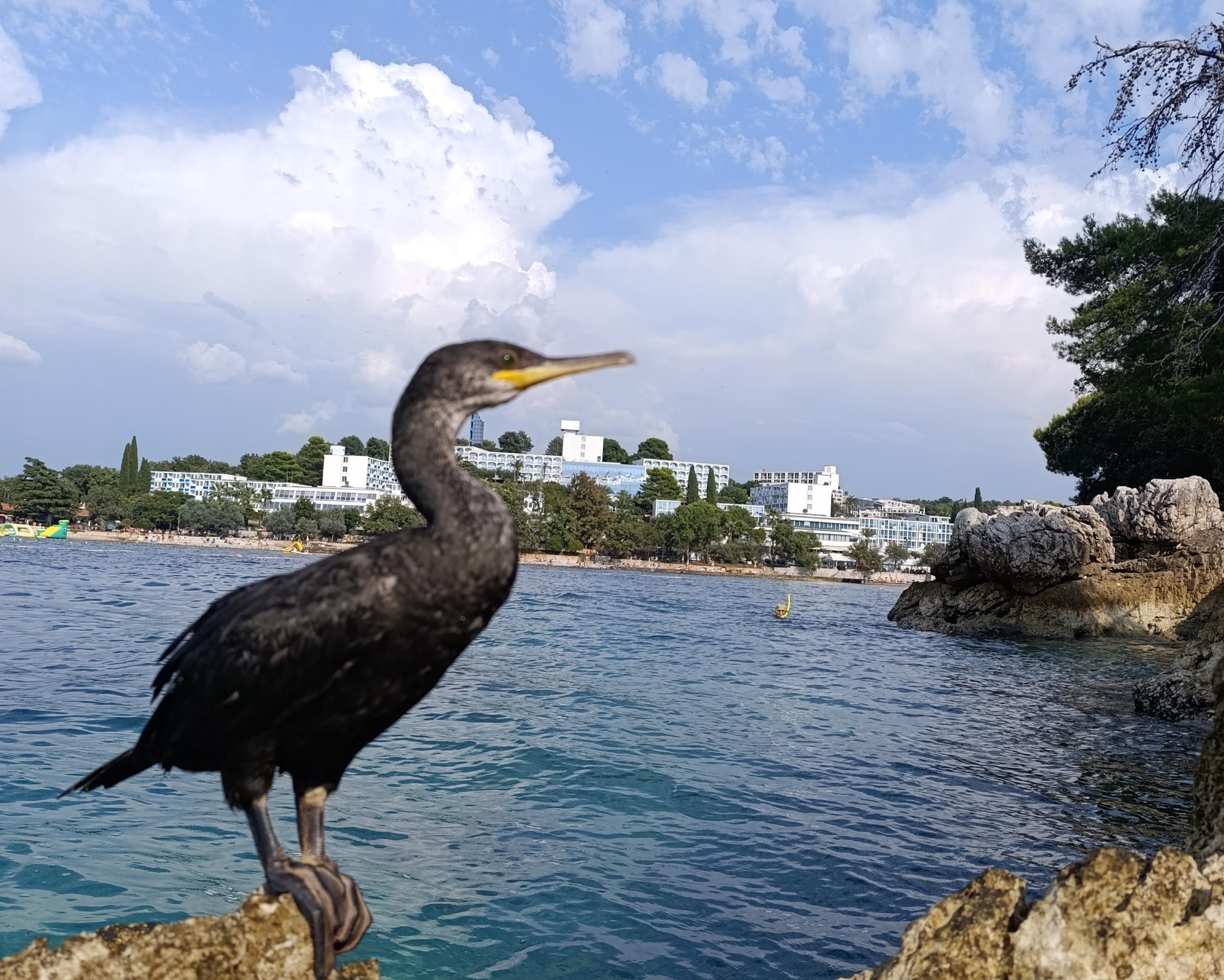 Kroatien 2